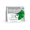 GINGIUM 120 mg Filmtabletten - 120Stk - Herz, Kreislauf & Nieren