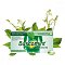 BUSCOMINT bei Reizdarm 0,2 ml magensaftr.Weichkps. - 48Stk - Spar-Abo
