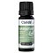 EUKALYPTUS ÖL naturrein ätherisch - 10ml - Ätherische Öle