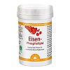 EISEN-PHOSPHOLIPID Dr.Jacob\'s Pulver - 64g - Abwehrkräfte