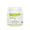 PASCOFLORIN sensitiv Pulver - 80g