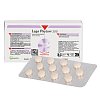 LEGA PHYTON 200 Erg.Futterm.Tabl.f.Hunde/Katzen - 24Stk