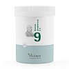 BIOCHEMIE Pflüger 9 Natrium phosphoricum D 6 Pulv. - 250g - Biochemie Pflüger