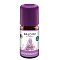 BALDINI Buddhaduft Bio ätherisches Öl - 5ml