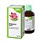 ECHINACEA TROPFEN Salus - 100ml