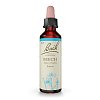 BACHBLÜTEN Original 3 Beech Tropfen - 10ml - Bachblüten-Orginal®