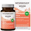 WELEDA Naturweisheit Meine Bakterienkulturen Kaps. - 40Stk