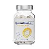 SPERMIDINELIFE Original 365+ Kapseln - 60Stk - Stärkung für das Gedächtnis