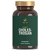 CHOLESTROSAN Kapseln - 60Stk
