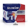 GELENCIUM EXTRACT pflanzliche Filmtabletten - 2X150Stk - Vegan