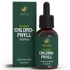 VITACTIV Chlorophyll Tropfen - 50ml