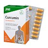 CURCUMIN 136 Bioaktiv Kapseln Salus - 60Stk