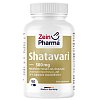 SHATAVARI Extrakt 20 % 500 mg Kapseln - 90Stk