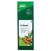 KURKUMA TEE Bio Salus - 100g