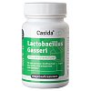 LACTOBACILLUS Gasseri Kapseln - 60Stk - Abnehmtabletten & -kapseln