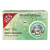 H&S Wintertee Bio Apfel-Gewürze Filterbeutel - 20X2.0g