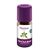 THYMIAN ROT Typ Thymol demeter Taoasis äth.Öl - 5ml