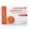 CURCUMA+BOSWELLIA forte Kapseln - 60Stk