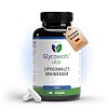 GLYCOWOHL vital liposomales Magnesium hochdos.Kps. - 120Stk - Vegan