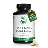GREEN NATURALS Magnesiumcitrat liposomal veg.Kaps. - 120Stk - Vegan