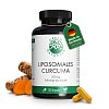 GREEN NATURALS Curcuma Extrakt liposomal veg.Kaps. - 120Stk - Magen, Darm & Leber