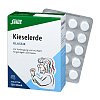 KIESELERDE KLASSIK Tabletten Salus - 120Stk