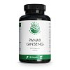 GREEN NATURALS Panax Ginseng hochdos.vegan Kapseln - 180Stk