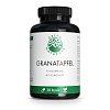 GREEN NATURALS Granatapfel+40% Ellagsäure Kapseln - 180Stk - Vegan