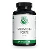 GREEN NATURALS Spermidin Forte 5,5 mg vegan Kaps. - 90Stk - Vegan