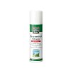 ALLGÄUER LATSCHENK. Besenreiser Kältespray - 150ml - Besondere Bedürfnisse