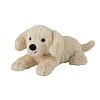 WARMIES MINIS golden Retriever - 1Stk