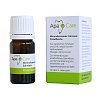 APACARE Zahnlack Pinselflasche - 5ml