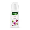 RAUSCH Volumen-Spray mit Malve - 100ml