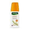 RAUSCH Feuchtigkeits-Spray mit Weizenkeim - 100ml