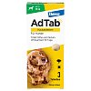ADTAB 450 mg Kautabletten für Hunde >11-22 kg - 3Stk