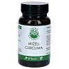 GREEN NATURALS Mizell Curcuma 1040 mg hochdos.Kps. - 60Stk
