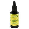 CHLOROPHYLL Tropfen - 50ml