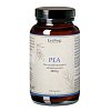 PEA Palmitoylethanolamid 99,23% vegan Kaps.Erdling - 120Stk