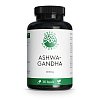 GREEN NATURALS Ashwagandha 2500mg hochdos.veg.Kps. - 180Stk