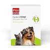 PHA GelenkVital Erg.Futterm.Pulver f.Hunde/Katzen - 150g