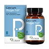 CALCIUM PFLÜGER PUR 100 mg Kapseln - 90Stk