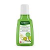 RAUSCH Anti-Pollution-Shampoo m.Schweizer Apfel - 40ml