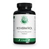 GREEN NATURALS Trans-Resveratrol 500 mg vegan Kps. - 60Stk - Gedächtnis & Konzentration