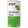 RAAB Vitalfood Gerstengras Bio Pulver - 140g