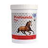 PREFOUNDA plus Pellets f.Pferde - 750g