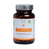 OHRHARMONIE Vit.B12 u.Magnesium Kapseln - 60Stk - Ohrenprobleme