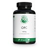 GREEN NATURALS OPC 1000mg aus Traubenkern-Extr.Kps - 180Stk