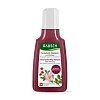 RAUSCH Farbschutz-Shampoo mit Wildrose - 40ml