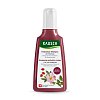 RAUSCH Farbschutz-Shampoo mit Wildrose - 200ml