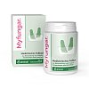 MYFUNGAR Medizinisches Fußbad Granulat - 250g